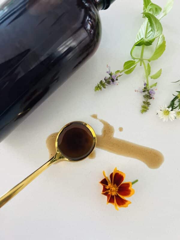 Gut Healing Elixir - Image 2